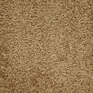 Looptex Mills Fb045 Captivate Brown/Tan Textured Indoor Carpet