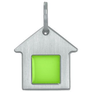 Plain Lime Green Background. Pet Tags