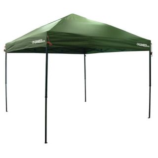 Combo 10 x 10 Canopy w/Mesh Sides and Wind Walls 760902