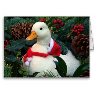 Holiday Duck Greeting Cards