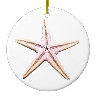 Pink & Orange Sea Shells Christmas Tree Ornaments