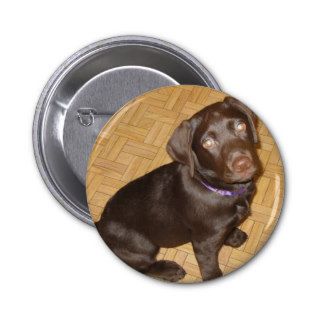 Tiny Chocolate Brown Labrador Puppy Pinback Button