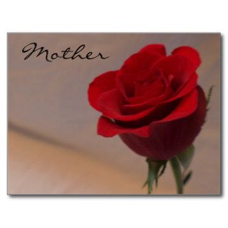 Stunning Red Rose for Mother's Day Postcard