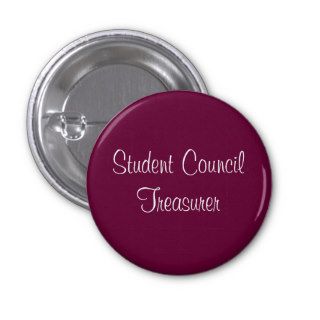Student Council Treasurer Pins
