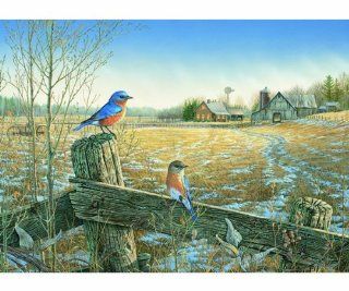Outset Media Games High quality Cobble Hill Country Bluebirds Puzzle, 1000 pc, Most Endearing Image   Jigsaw Puzzles