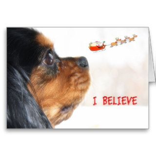 I Believe In Christmas With Cavalier King Charles Greeting Cards