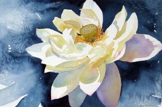 Lotus Unfurled, Giclee Print of Flower Watercolor, Showing a White Lotus Blossom Fully Open, 18 X 28 Inches   Watercolor Paintings