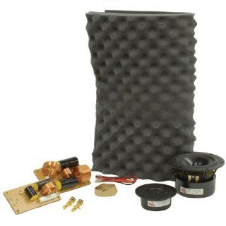 Dayton Audio RS621 Speaker Kit w/o Cabinet Electronics