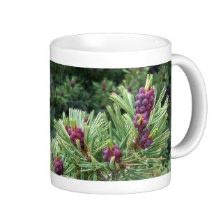 Whitebark Pine Cone Mug