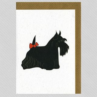 illustrated scottie blank card by illustrated cards