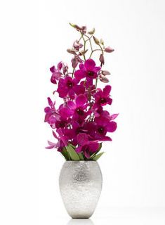 orchid vase by will odell designs