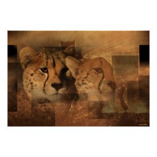 Leopards Print