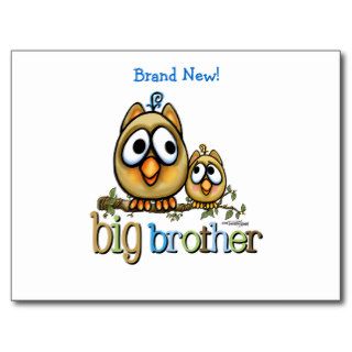 Big Brother   Baby Bro Owls Post Card