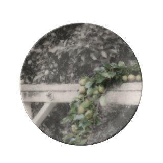 Pears And Hitching Post In Black And White Nature Porcelain Plates