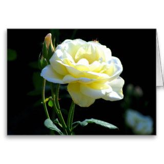 A Perfect Rose To Say I Love You or Thank You Card