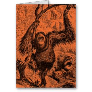Vintage Orange Orangutan Illustration   Monkey Cards