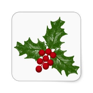 Green Holly Leaves With Red Berries Sticker