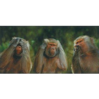 (5x9) Three Baboons See No Evil Hear No Evil Speak No Evil Panoramic Greeting Cards 12 Per Package   Prints