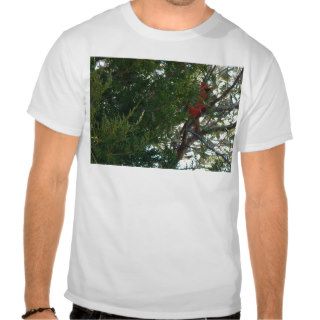 11 23 2008 077, Male Northern Cardinal In Cedar Tr Tshirts