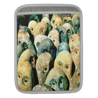 Cool Rock Stone Owl Faces with Eyes iPad Sleeves