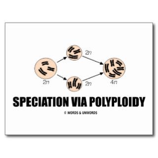 Speciation Via Polyploidy (Evolution) Post Cards
