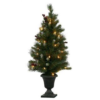 3' x 18" Ashberry Potted Tree 35CL 115T