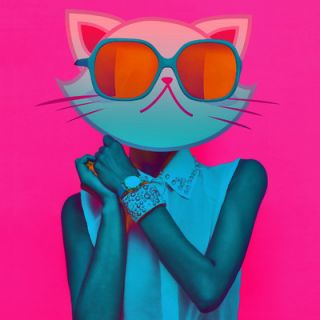 Salty & Sweet Kool Kitty Graphic Art on Canvas SS025 Size 12 H x 12 W x 