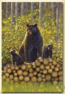Wildlife Themed Chalet Casuals Soft Polyester 50" x 60" Throw Blanket   Black Bear & Cubs In Forest On Logs  