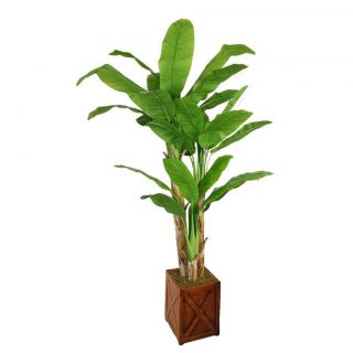 Laura Ashley 81 inch Tall Banana Tree With Real Touch Leaves In 13 inch Fiberstone Planter