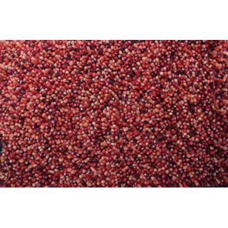 True Modern Lil Wooly Red Rug F44 1000 Lil wooly rug Red Rug Size 5 x 76