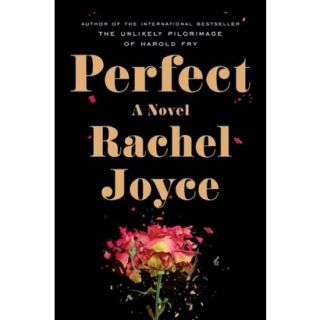 Perfect (Hardcover)