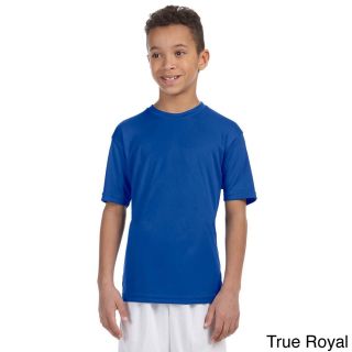 Harriton Youth Athletic Sport T shirt Blue Size L (14 16)