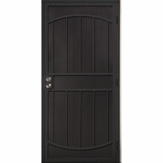 Gatehouse Gibraltar Silver Steel Security Door (Common 32 in x 81 in; Actual 35 in x 81 in)