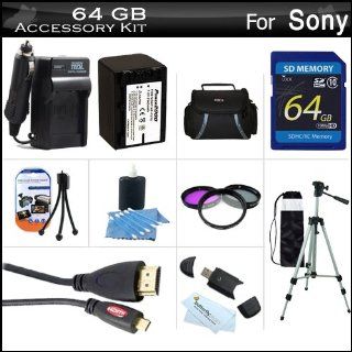 64GB Accessory Kit For Sony HDR PJ790V Handycam HD Camcorder Includes 64GB High Speed SD Memory Card + Replacement (2300Mah) NP FV70 Battery + Ac/Dc Charger + Deluxe Case + Tripod + 3PC Filter Kit (UV CPL FLD) + Micro HDMI Cable + USB 2.0 SD Reader + More 