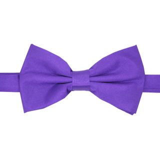 Ferrecci Mens Purple Bowtie