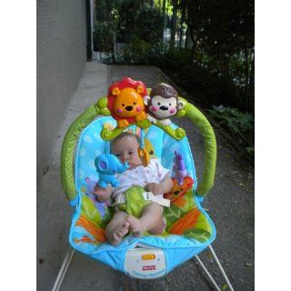 Fisher Price Playtime Bouncer, Precious Planet  Infant Bouncers And Rockers  Baby