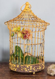Here Comes the Sunroom Decorative Birdcage  Mod Retro Vintage Decor Accessories