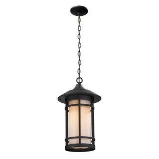 Sb Z lite Outdoor Chain Light With Black Finish
