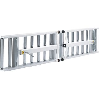 HTC Portable Conveyor — 15in. W x 66in. L  Portable Conveyors