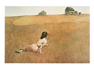Christina's World Andrew Wyeth Farms landscapes Print 30x24 Poster  