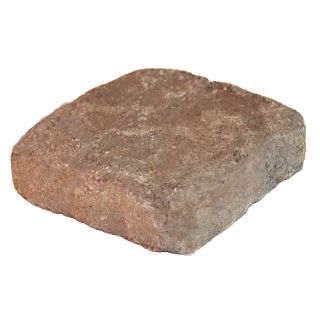 allen + roth Luxora Duncan Countryside Patio Stone (Common 6 in x 6 in; Actual 5.8 in H x 5.8 in L)