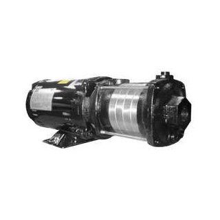 Dayton 5UXG3 Booster Pump, Multi Stage, 2 HP, 5 Stages Industrial Centrifugal Pumps