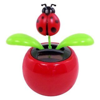 Solar Dancing Flower   Ladybug Toys & Games
