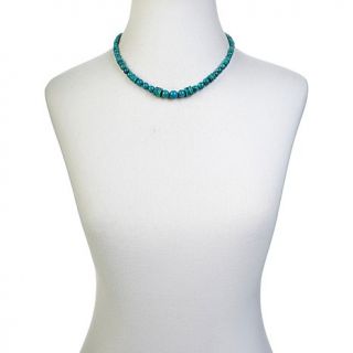 Jay King Anhui Turquoise Sterling Silver 18" Necklace