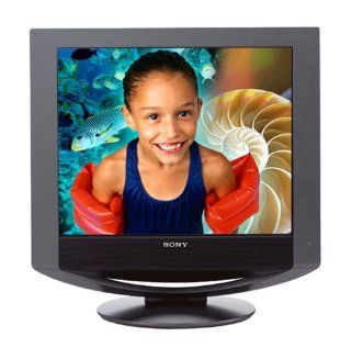 Sony SDM HX93/B 19" LCD Monitor (Black) Computers & Accessories