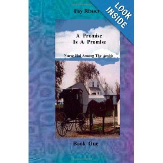 A Promise Is A Promise Nurse Hal Among The Amish Fay Risner 9780982459508 Books