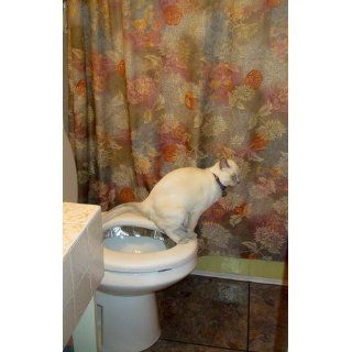 The Toilet Trained Cat Aston Lau 9781435740914 Books