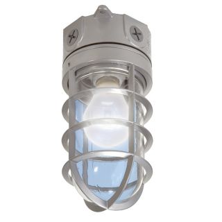 Utilitech Incandescent Hardwired Emergency Light