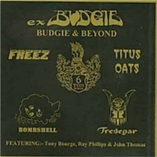 Budgie & Beyond Alternative Rock Music