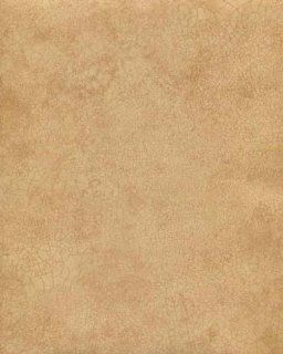 Galerie Illusions Feature Wallpaper Cracked Effect Gold Brown LL29506  